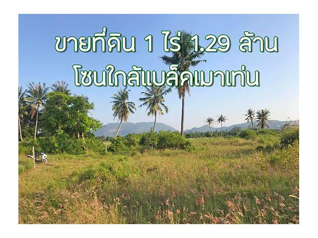 ขายที่ดินราคาถูก โซนแบล็คเมาเท่น 1 ไร่ โฉนด