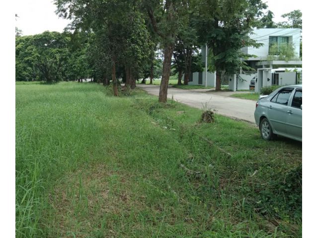 ที่ดินเปล่าในโครงการบ้านวังตาล