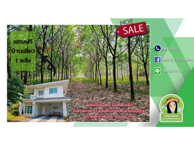 ซื้อสวนยางพารา แถมบ้านหลังใหญ่ 1 หลัง ในเมืองอุบล