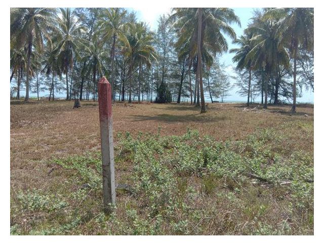 ขายที่ดินติดทะเล ปากดวด ท่าศาลา นครศรีธรรมราช ที่ดินสวยมาก หน้าหาดกว้างมาก