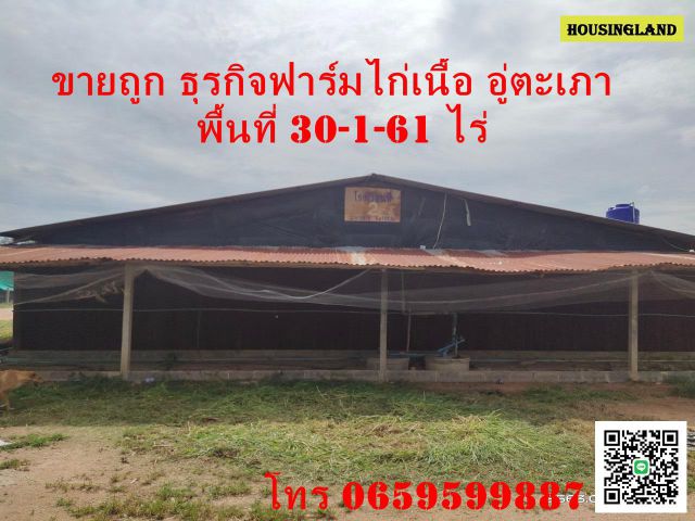 ขายถูก ธุรกิจฟาร์มไก่เนื้อ ต.อู่ตะเภา อ.มโนรมย์ จ.ชัยนาท