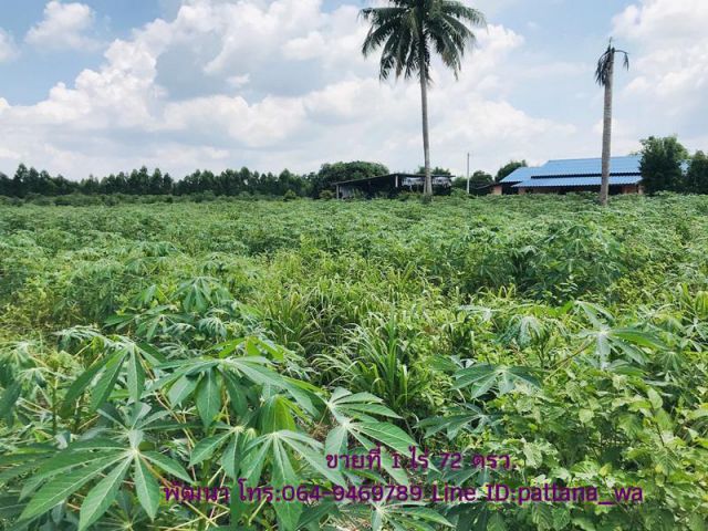 ️ ขายที่แปลงเล็ก ในเขตนิคมโรจนะปราจีนบุรี เนื้อที่ 1 ไร่ 72 ตรว.