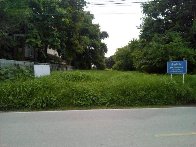 ขายที่ดินทำเลดี 211 ตรว. ต.ตะกุด อ.เมือง จ.สระบุรี