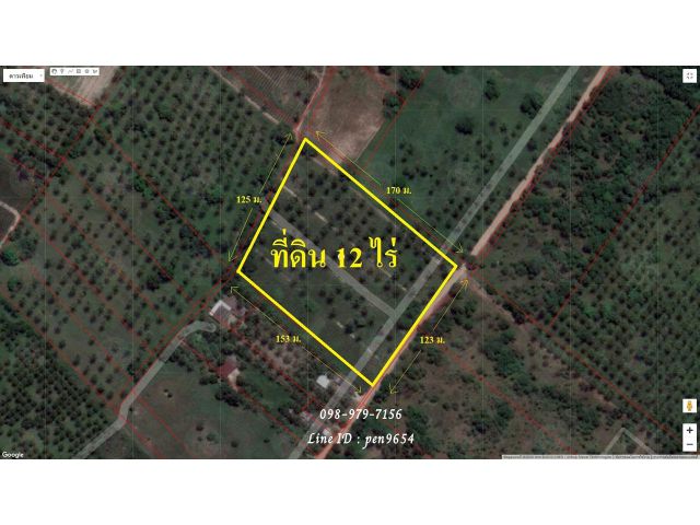 PH912 ด่วนขายที่ดินสวย เป็นสวนมะพร้าวจำนวน 12 ไร่ เป็นรูปสี่เหลี่ยม พื้นที่สีชมพู