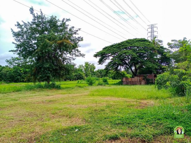 ที่ดินติดถนนแจ้งสนิท ทำธุระกิจได้ ราคากันเอง/บ้านหัวดอน/ศูนย์วิจัยข้าว