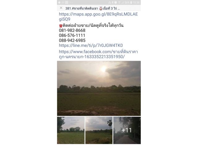 นครนายก3-3-0ขายไร่ละ8สบ.ที่ใกล้เขาที่โคกหนองนา