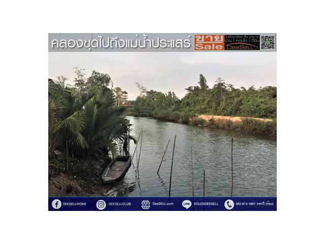 ขายที่ระยอง2773ตรว ถ.สุขุมวิท ทางเกวียน ซ.ดอกมะกอก