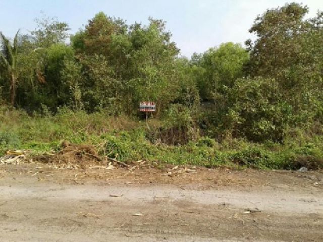 ที่ดิน 300 ตรว. ถนน.ฤชุพันธ์ ซ.4 ไทรน้อย-นนทบุรี