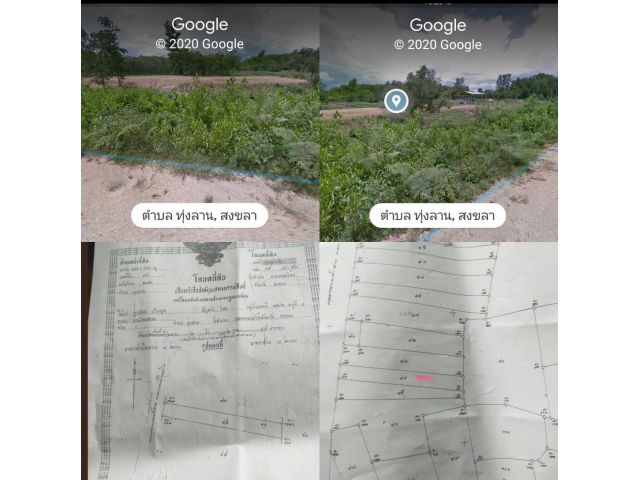 ขายที่ดินสวนยางคลองหอยโข่งทุ่งลาน 2ไร่ 2งาน 95 ตารางวาขาย 1,200,000 บาท
