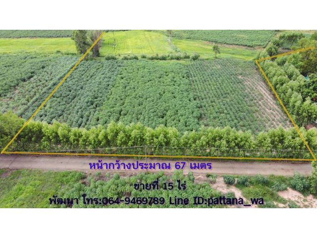 ขายที่ในชุมชน ติดถนนคอนกรีต ราคาถูกๆ เนื้อที่ 15 ไร่