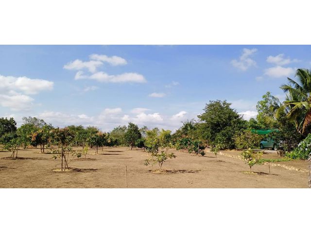 ขายที่ดินเขาใหญ่ #เขาใหญ่ปากช่อง #ที่ดินติดถนนโยธาธิการ พร้อมบ้านและสวนผลไม้