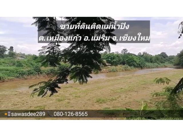 ขายที่ดินติดแม่น้ำปิง ใกล้เมือง เนื้อที่ 2 ไร่ อ.แม่ริม จ.เชียงใหม่​