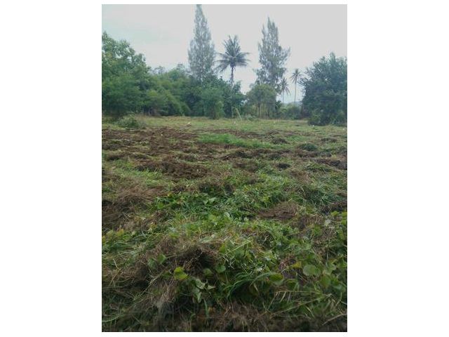 ขายที่ดิน 3 ไร่ 68 ตรว. อ.ท่ายาง จ.เพชรบุรี