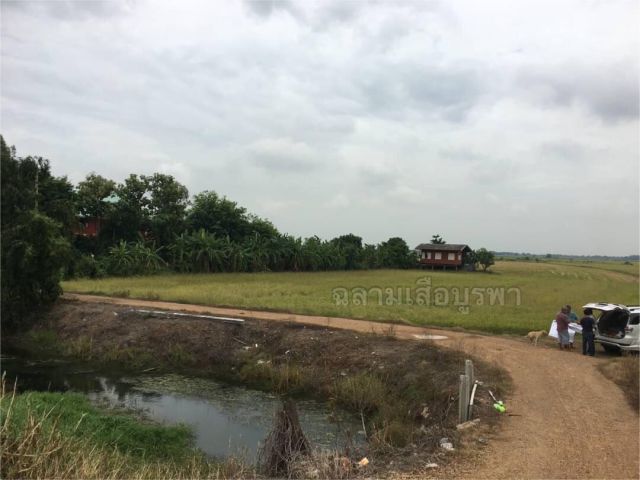 ขายที่ดินแปลงใหญ่ 1,140ไร่ ติดถนนทางหลวงชนบทเส้น4031 ต.ผักไห่ อ.ผักไห่ จ.อยุธยา