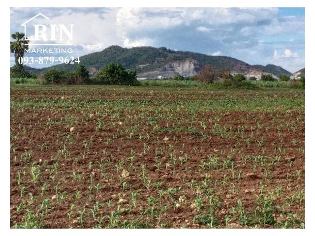 ขายที่ดินราคาถูก... ที่ดินเปล่าถมแล้ว 21-2-14. ตร.ว.