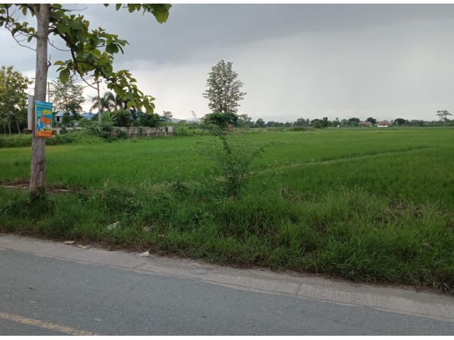 ที่นา ป่าป้อง อ.ดอยสะเก็ด