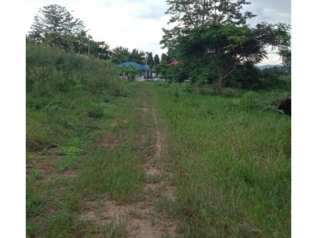 ที่ดินเปล่า ป่าป้อง อ.ดอยสะเก็ด