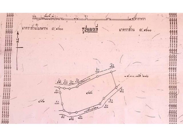 ขายที่ดิน 16 ไร่ ต.ร้องวัวแดง อ. สันกำแพง จ.เชียงใหม่  ใกล้ สนามบินจะสร้างแห่งใหม่  ของจังหวัด
