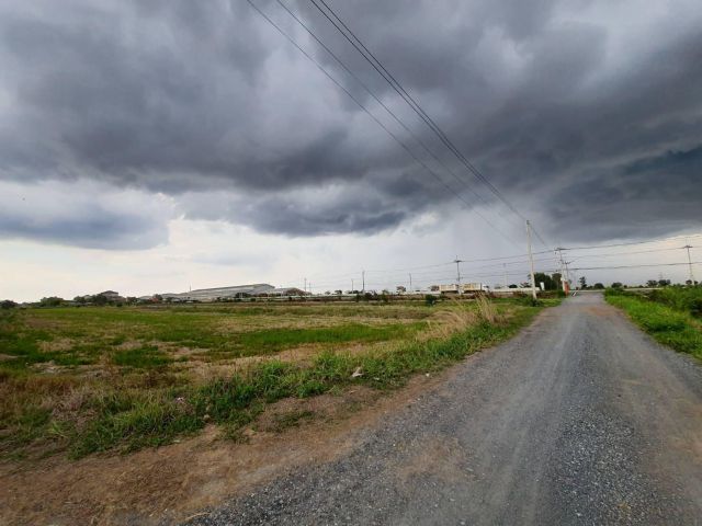 ขายที่ดิน 4 ไร่ คลอง 20 ใกล้ถนนสี่เลน เพียง 70 เมตร อ.บางน้ำเปรี้ยว จ.ฉะเชิงเทรา