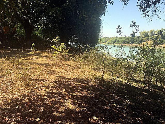 ขาย ที่ดิน อ.ศรีสงคราม จ.นครพนม