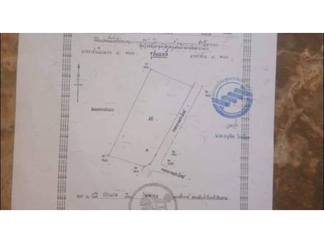 สวนยาง แปลงสวย