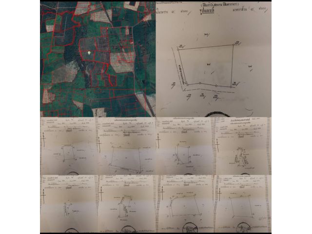 ที่ดินสวนยางสะเดาท่าโพธิ์ 275 ไร่ขายไร่ละ 330,000บาท
