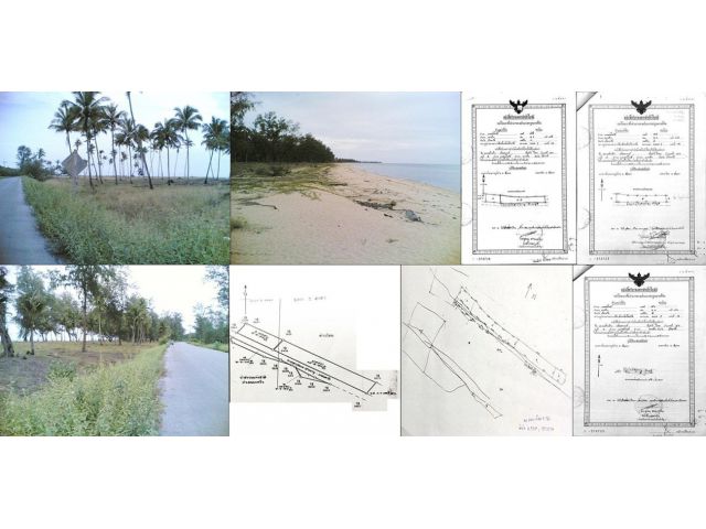 ขายที่ดินติดทะเล หาดตะโละกะโปร์ 24 ไร่ แหลมโพธิ์ อ.ยะหริ่ง ปัตตานี