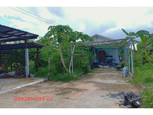 ที่ดินแปลงสวยใจกลางเมืองอุบล ซอยบ้านนาควาย เนื้อที่ 265 ตรว. 3 ล้านบาท เอกสารโฉนด