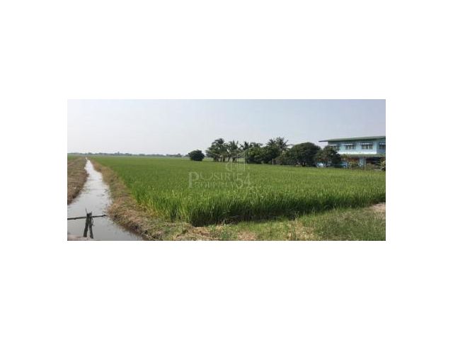 ขายที่ 14 ไร่เศษ ติดถ.เลียบคลอง 4 ฝั่งตะวันออก ใกล้โรงเรียนวัดมงคลพุการาม