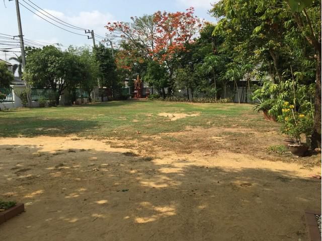 ให้เช่าที่ดิน 500 ตรม วิภาวดีรังสิต ใกล้ดอนเมือง