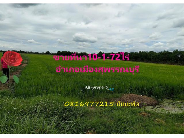 ขายที่นา10-1-72ไร่ๆละ 350,000 บาท รวมโอน ติดถนนดินกรวด มีคลอง  เมืองสุพรรณ