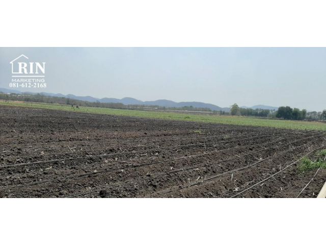 R072-011 ขายถูกมาก ที่ดิน​การเกษตร 168-0-89 ไร่​ ต.แสลงพัน อ.วังม่วง​ จ.สระบุรี