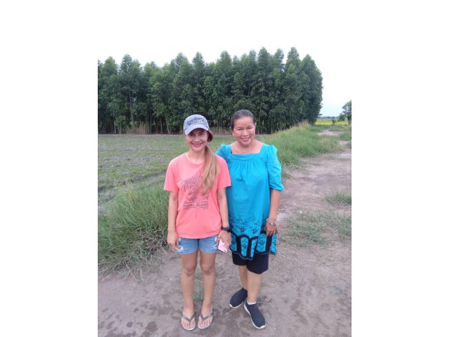 ที่ดินแบ่งขาย ตั้งแต่  1ไร่ขึ้นไป บ้านหนองเตย ต.พรหมณี อ.เมือง จ.นครนายก
