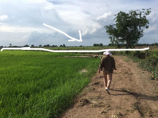 ที่ดินติด อ.เมืองนครสวรรค์ จังหวัดนครสวรรค์