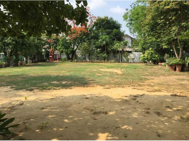 ให้เช่าที่ดิน 500 ตรม ถนนวิภาวดีรังสิต