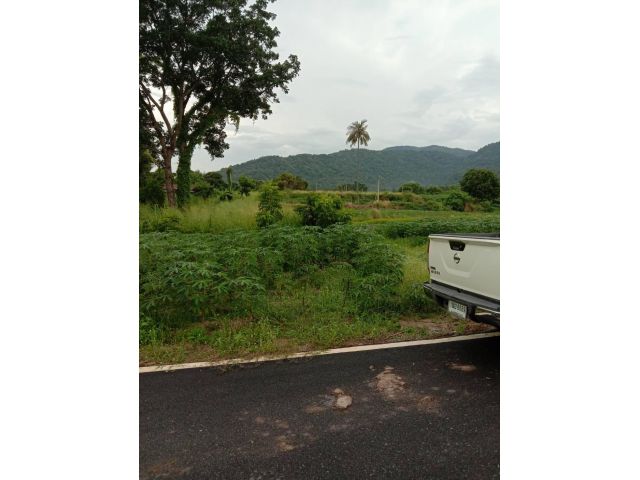 ขายที่ดินวิวภูเขาใกล้มอเตอร์เวย์ เหมา 3.5 ล้าน เนื้อที่ 3 งาน ต.หนองข้างคอก อ.เมือง จ.ชลบุรี