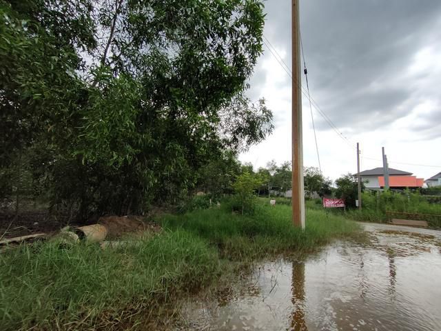 ขายที่ดินเมืองเอก 134 ตรว แปลงสวย ใกล้ม.รังสิต