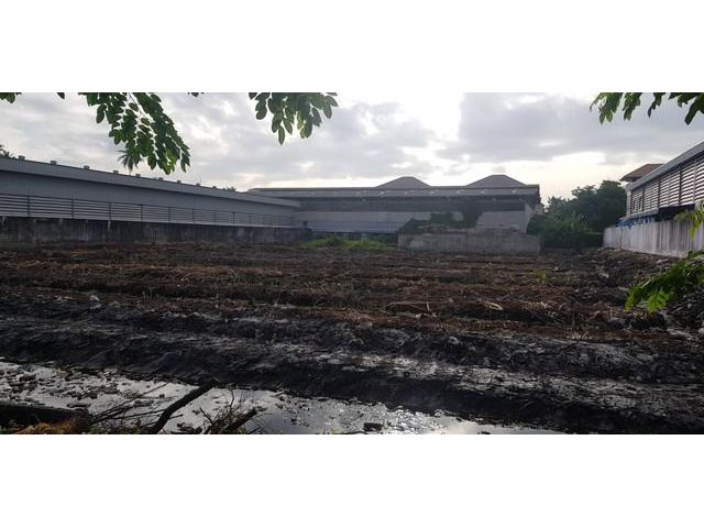 ขายที่ดิน พระราม2 ซอย30 เนื้อที่ 3 ไร่ 60000