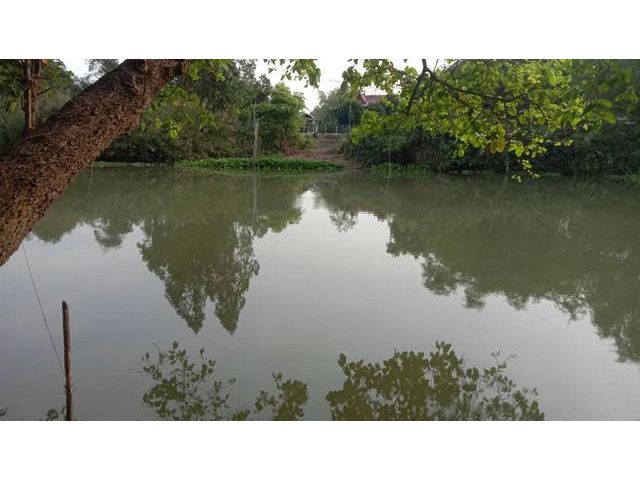 ขายที่พร้อมโอนริมแม่น้ำท่าจีน สุพรรณบุรี