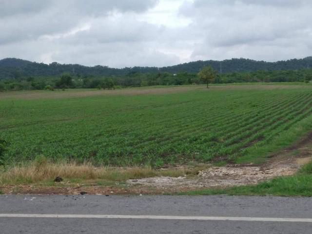 ขายที่ดินแปลงสวยราคาถูก จ.สระบุรี