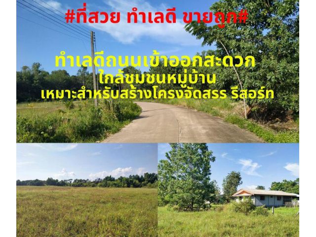 #ที่สวยทำเลดี#ขายที่ดินเปล่าทำเลสวย 14-3-36 ไร่ ต.ชากโดน อ.แกลง จ.ระยอง ราคาไร่ละ 550,000 บาท *ฟรีค่าโอน*