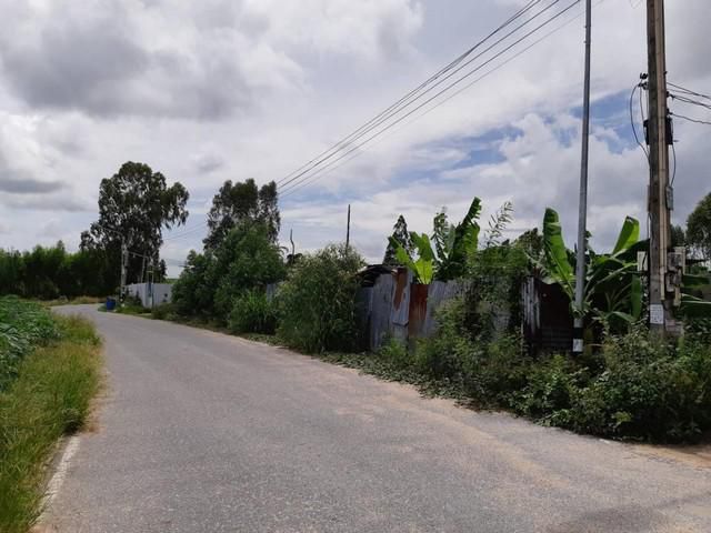 ขายที่ดิน7ไร่ พื้นที่สีส้ม  บ้านฉาง ระยอง