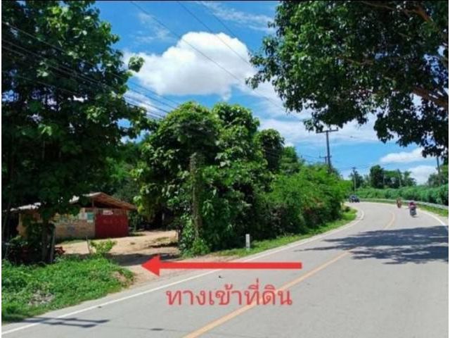 ขายด่วนที่ดินแปลงสวยติดถนน 20 ไร่ ราคาถูก