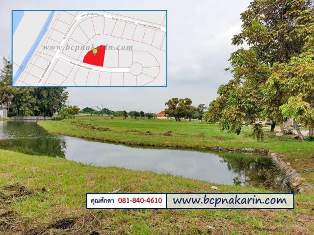 ขายที่ดิน วินด์มิลล์ พาร์ค บางนา-ตราด กม. 10.5 ซ.NORTH 7 เนื้อที่ 327 ตร.ว.