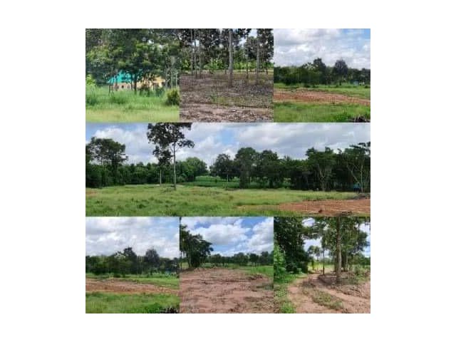 ขายที่ดินเหมาะสำหรับทำบ้านทำสวนเกษตร