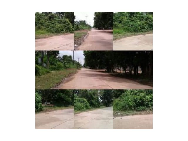 ขายที่ดินติดถนนคอนกรีต