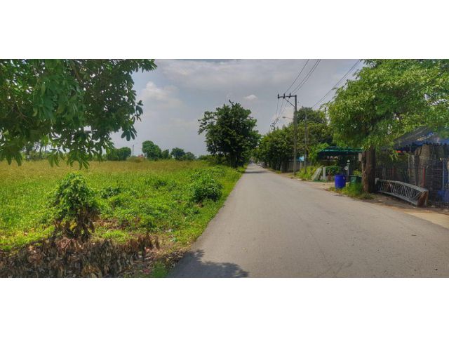 PP375 ขายที่ดินถนนนิมตรใหม่ 64