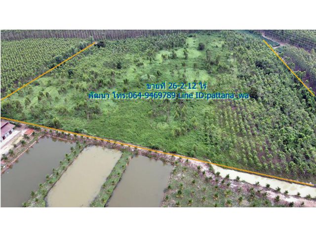 ขายที่ทำเกษตร เขต ต.ลาดตะเคียน ราคาถูกๆ เนื้อที่ 26-2-12 ไร่