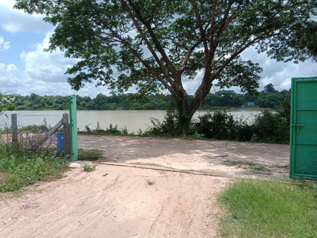 บ้านสวนติดแม่น้ำมูล อ.ตาลสุม/อุบลฯ  เนื้อที่ 1 ไร่ 1 งาน