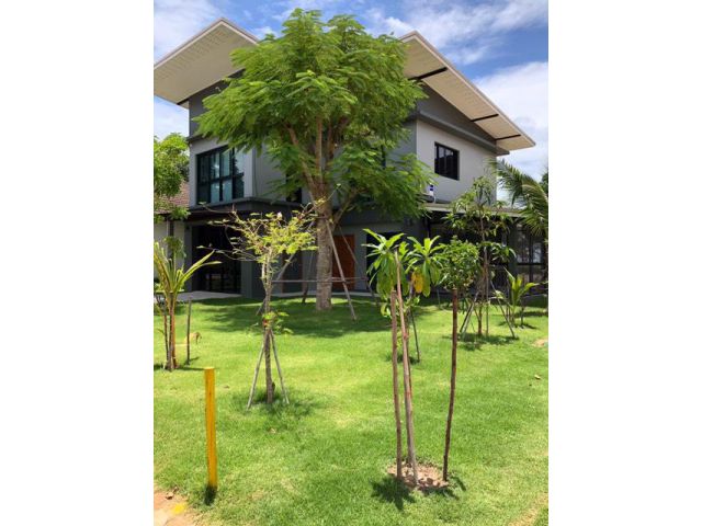 Ps110ขายบ้านใกล้ทะเล200เมตร หาดสวยมาก ราคาถูก